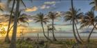 Castaways Resort - Mission Beach - QLD T (PBH4 00 14627)B